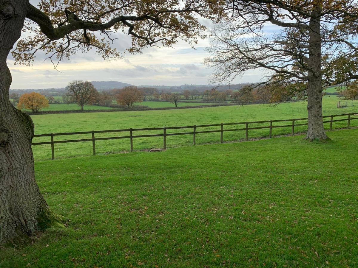 Inn The Coppleridge Motcombe